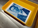 Live Zoom Session March 10, 5:00-6:30 EST: PiezoDN Calibrated Digital Negatives
